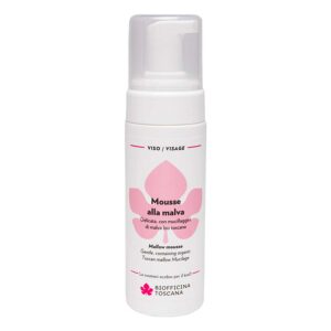 Mousse Detergente alla Malva