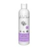 Shampoo Capelli Ricci - Spirulina e Goond Katira