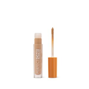 01 Perfect One Concealer