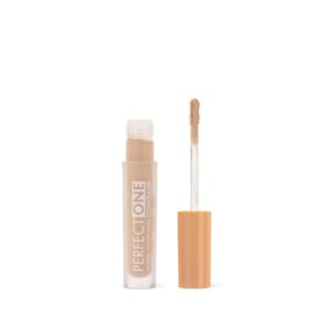02 Perfect One Concealer
