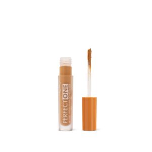 06 Perfect One Concealer